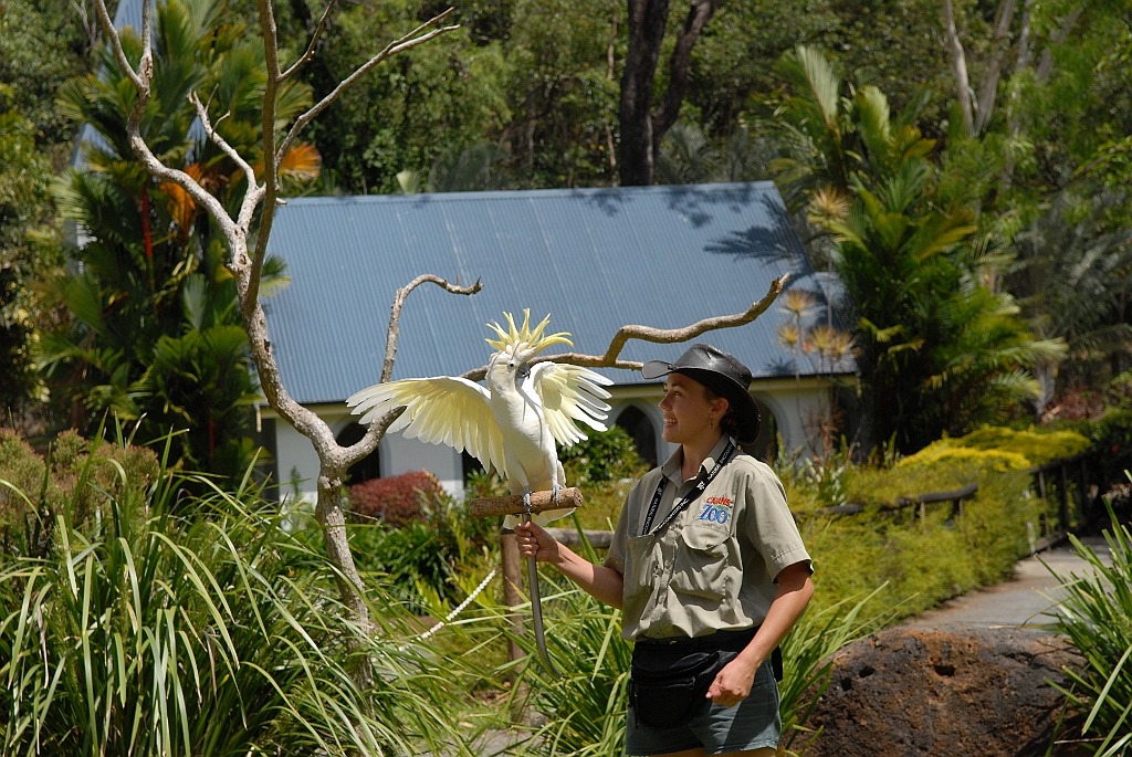 0059 Cairns Tropical Zoo.jpg